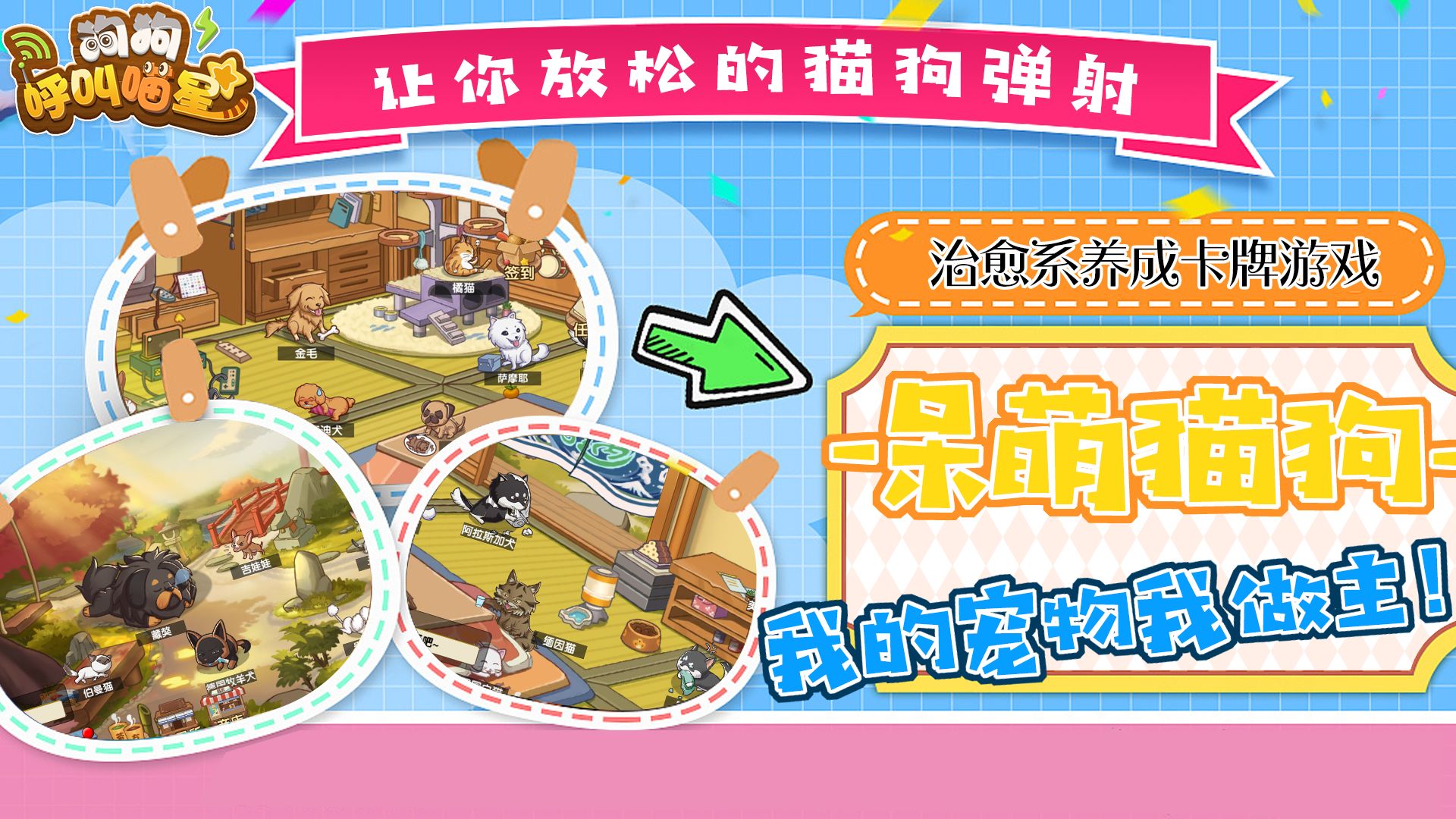 狗狗呼叫喵星