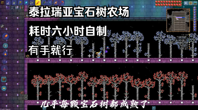 泰拉瑞亚什么方法能赚钱