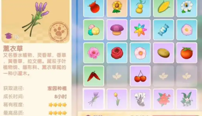 摩尔庄园熏衣草种子怎么买
