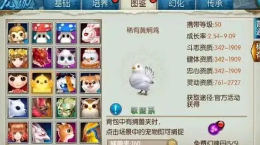 诛仙手游宠物搭配技能什么