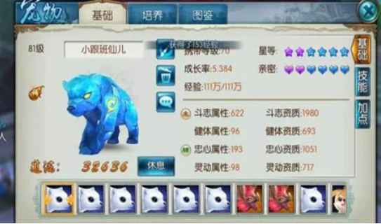 诛仙手游主斗副忠宠物怎么玩
