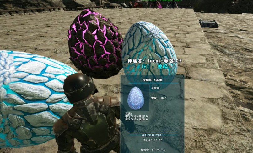 方舟生存进化捡的龙蛋怎么孵化