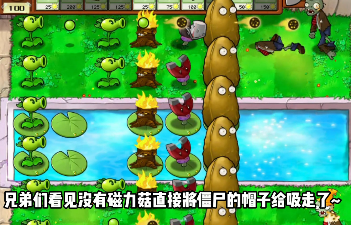 植物大战僵尸坚不可摧怎么打