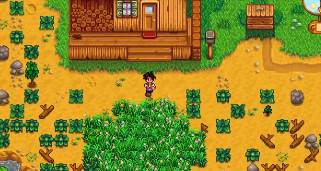 星露谷物语开局怎么发展