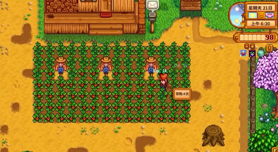 星露谷物语萌新怎么玩