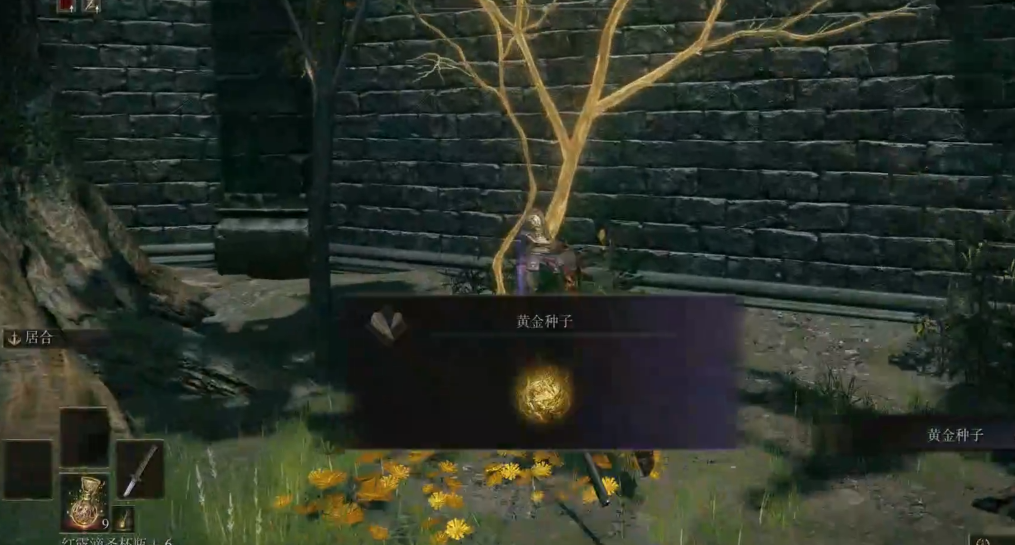 艾尔登法环新手推荐什么遗物