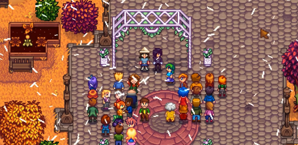 星露谷物语384怎么追