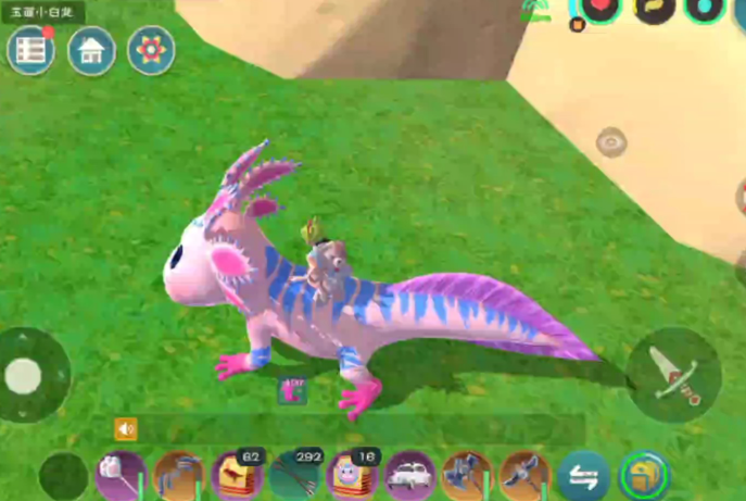 创造与魔法大蝾螈位置在哪里