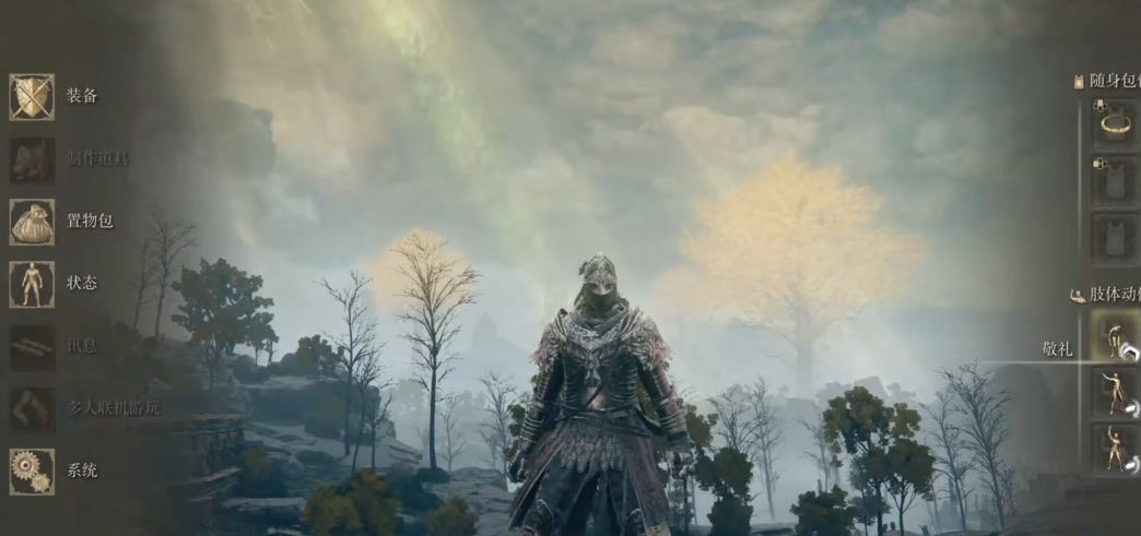 艾尔登法环好看实用的套装推荐什么