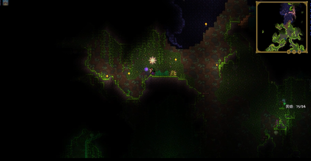 泰拉瑞亚开局该干什么