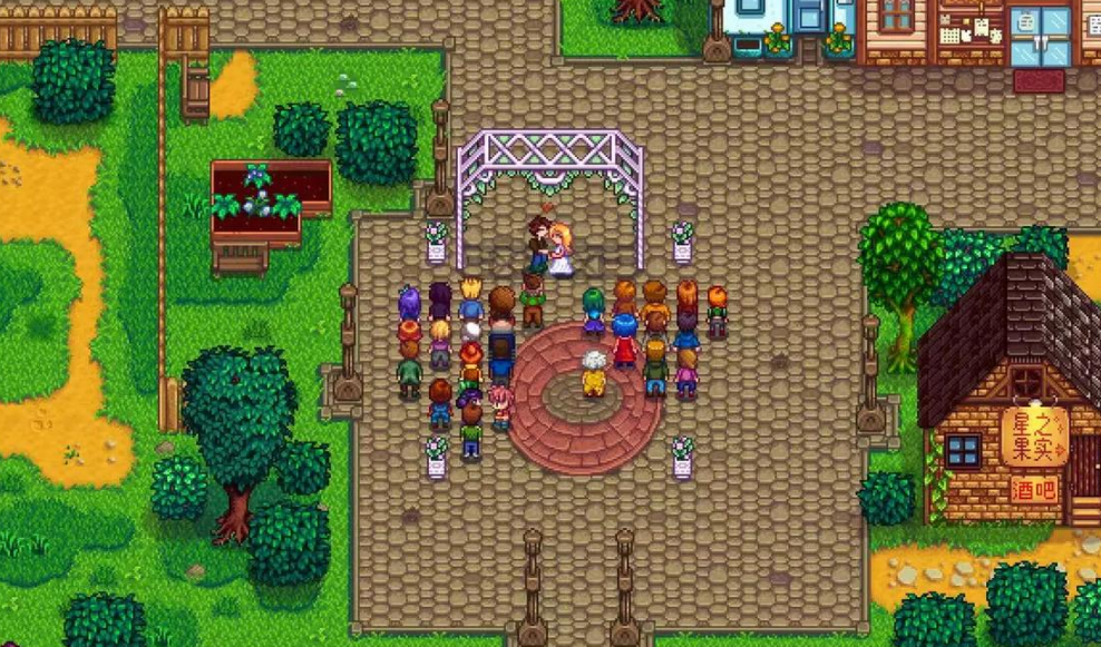 星露谷物语海莉一天都干什么呢 星露谷物语海莉一天都干什么呢