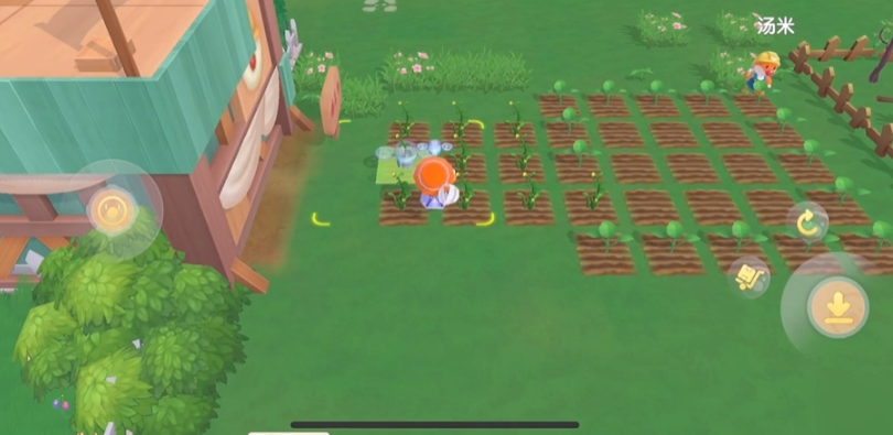 摩尔庄园怎么种植物 摩尔庄园怎么种植物