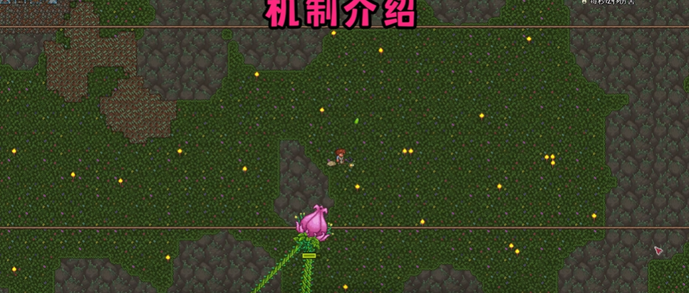 泰拉瑞亚食人花boss在哪里打 泰拉瑞亚食人花boss在哪里打