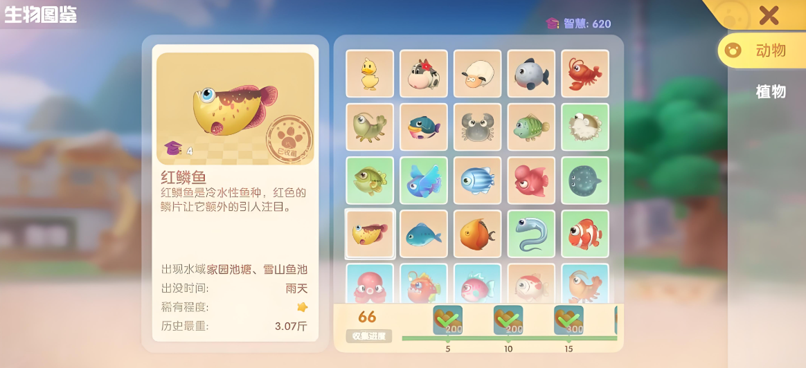 摩尔庄园脂肪鱼怎么钓