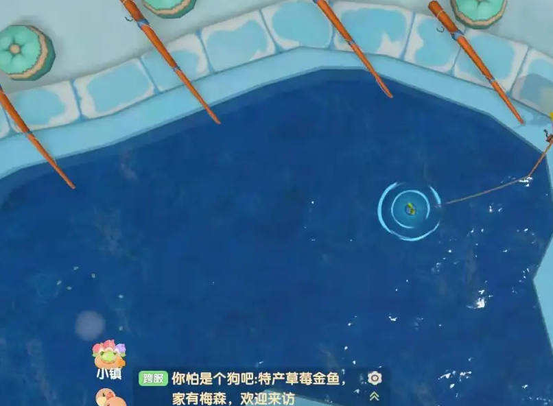 摩尔庄园两条鲤鱼怎么获得