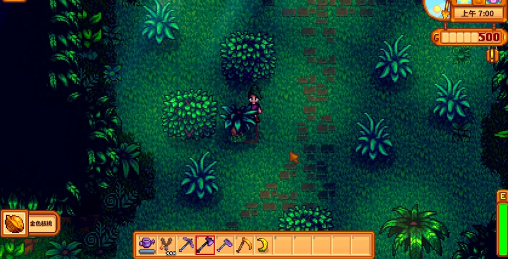 星露谷物语金核桃怎么收集