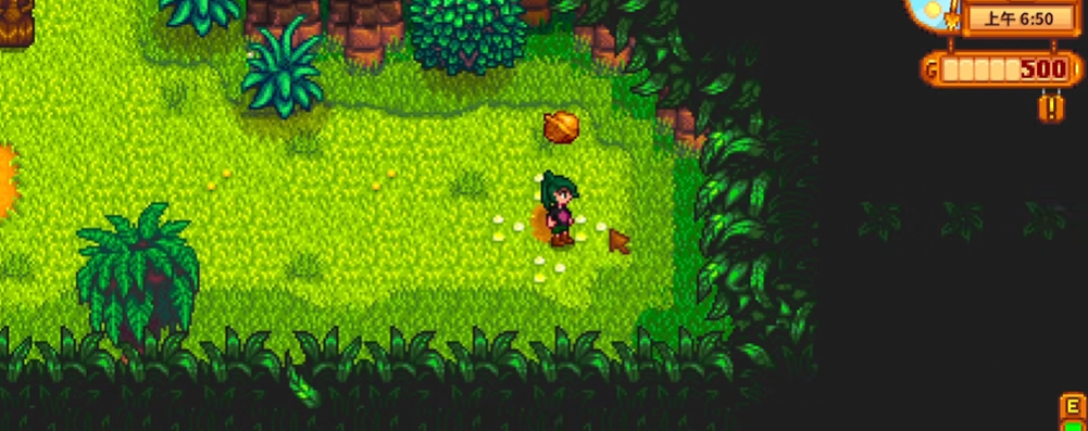 星露谷物语金核桃怎么收集