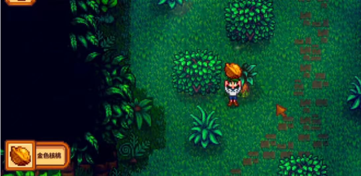 星露谷物语金色核桃怎么找