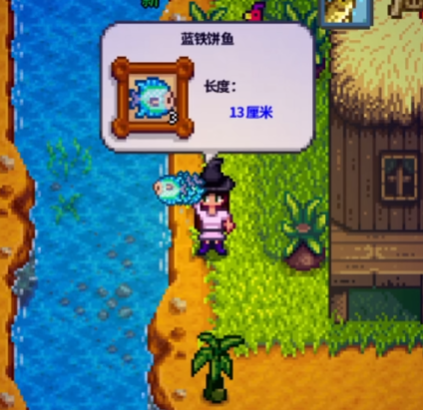 星露谷物语姜岛三种鱼在哪钓