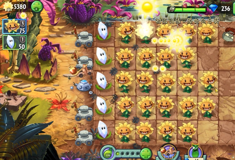 植物大战僵尸2向日葵初级训练怎么过