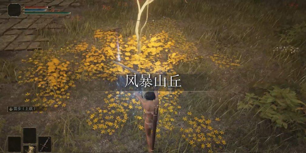 艾尔登法环在哪刷卢恩