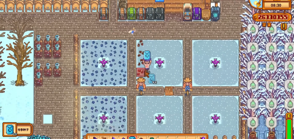 星露谷物语第一年冬天屯什么