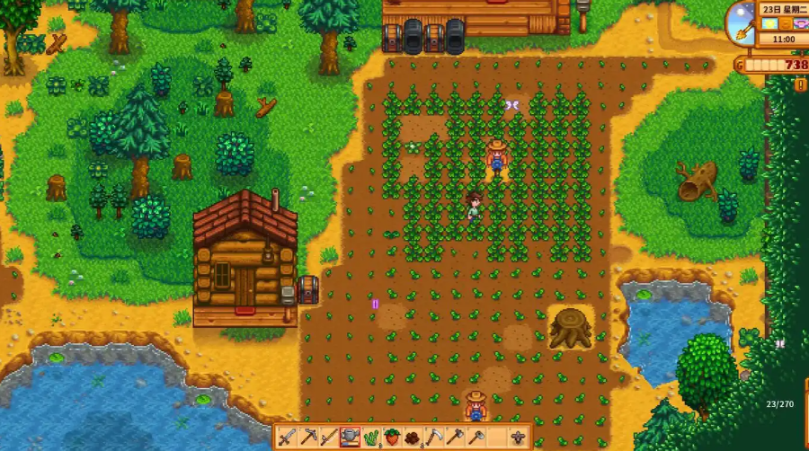 星露谷物语刚开始种什么好