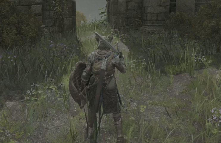 艾尔登法环新手开局选什么职业 艾尔登法环新手开局选什么职业